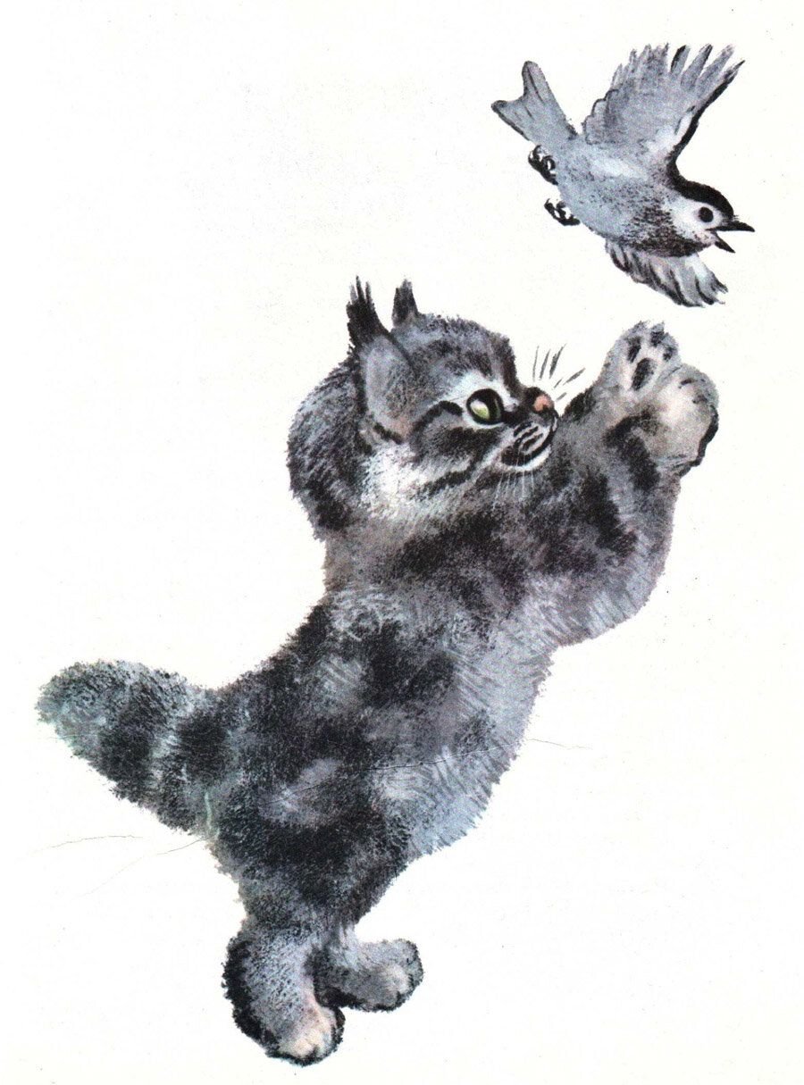 Чарушин Томкины сны книга