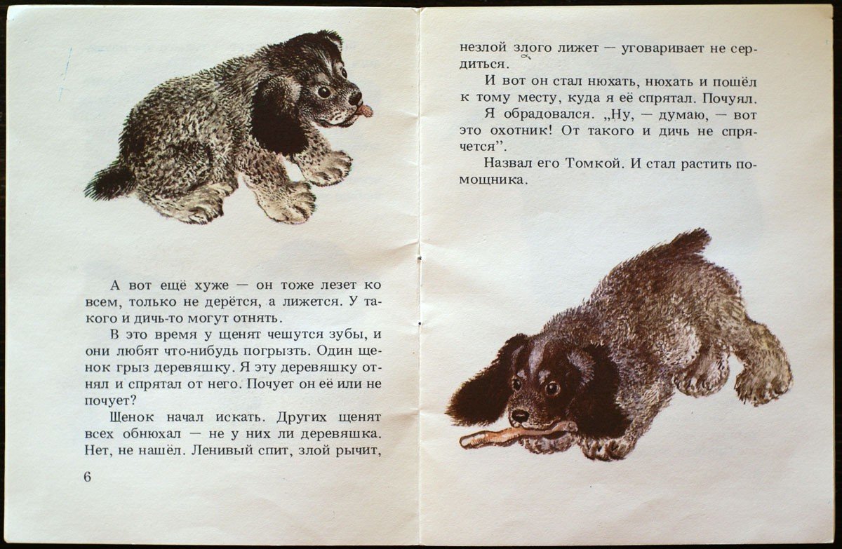 Чарушин рассказы про Томку