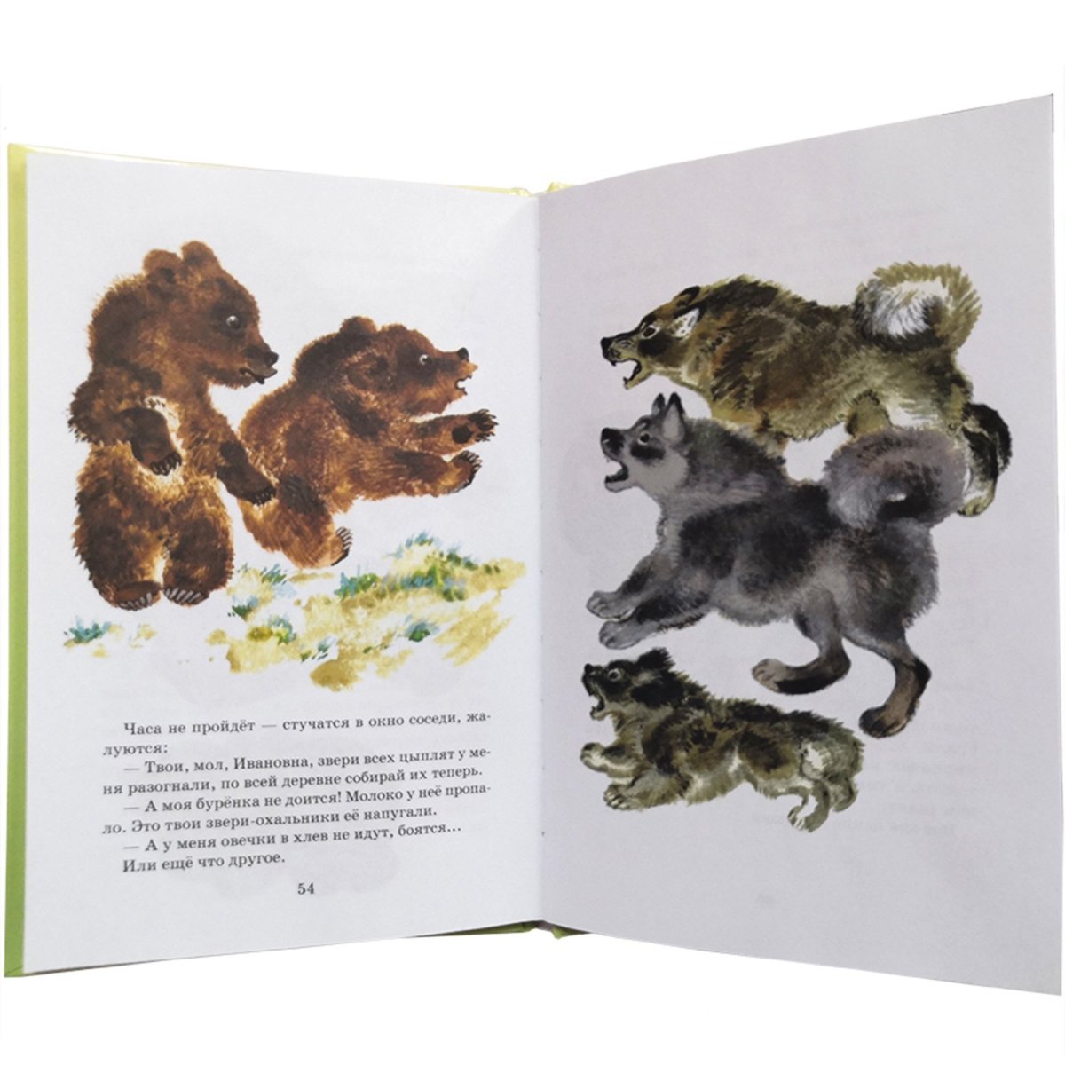 Иллюстрации к книге Чарушина про Тюпа, Томка и сорока