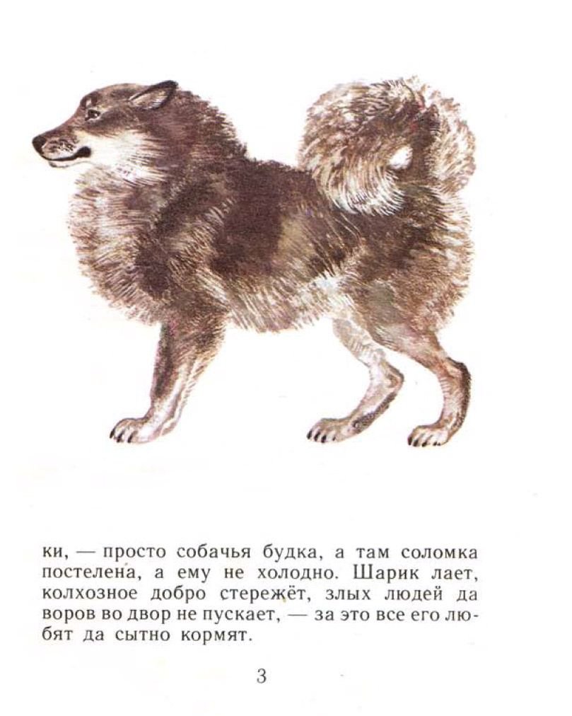 Чарушин е. "вот они какие"