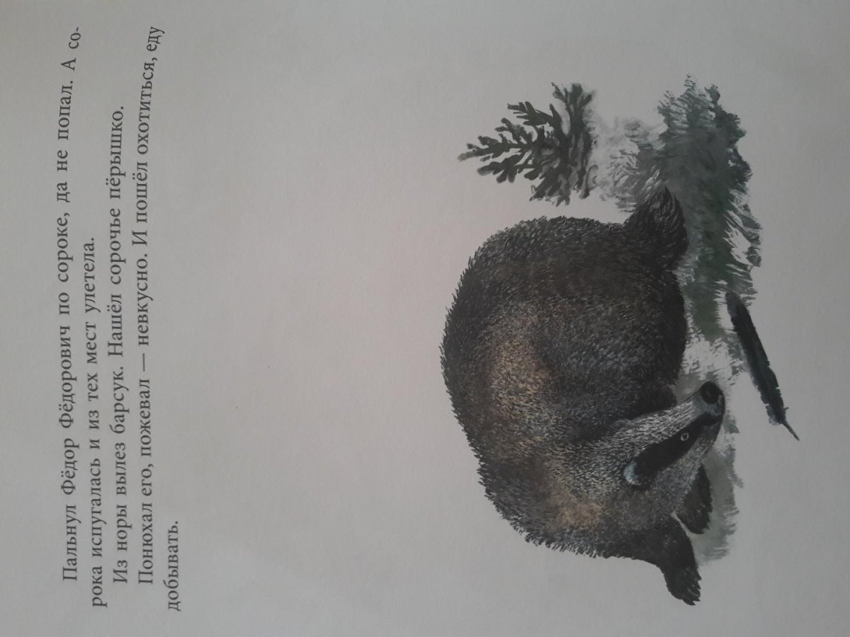 Евгений Чарушин Курочка