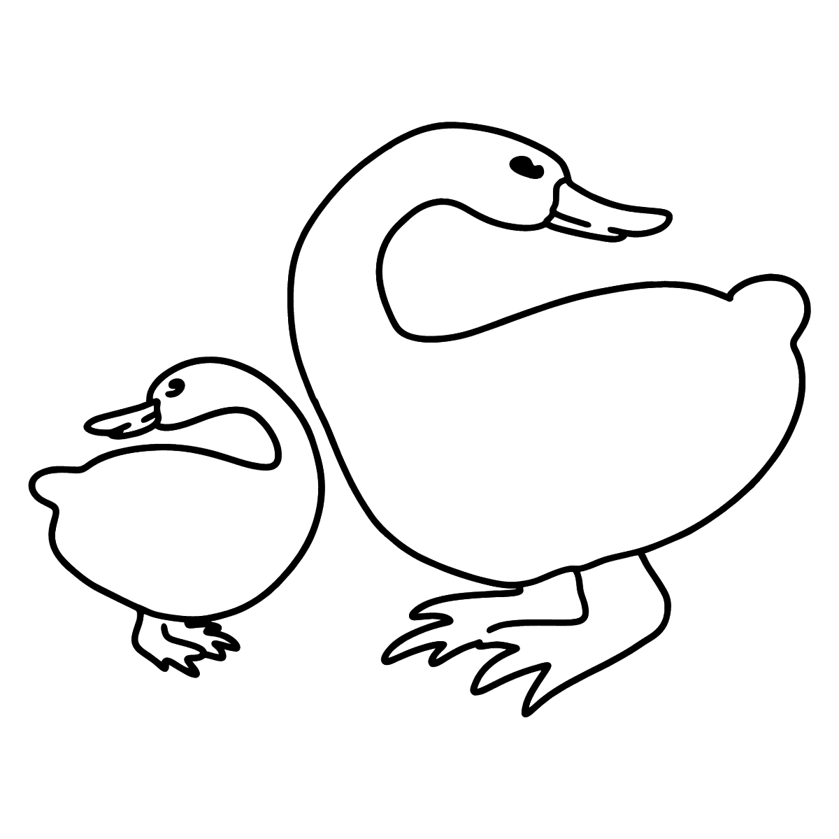 Кряква и селезень раскраска