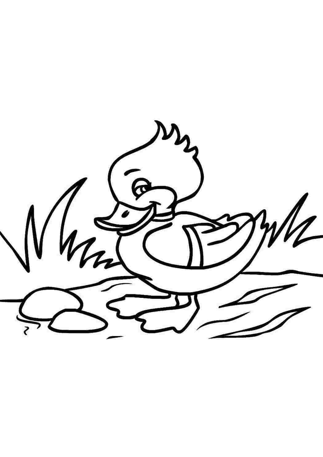 Клюв утенка