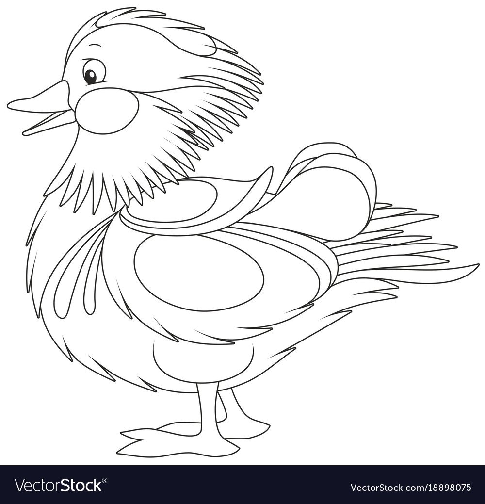 Утка раскраска