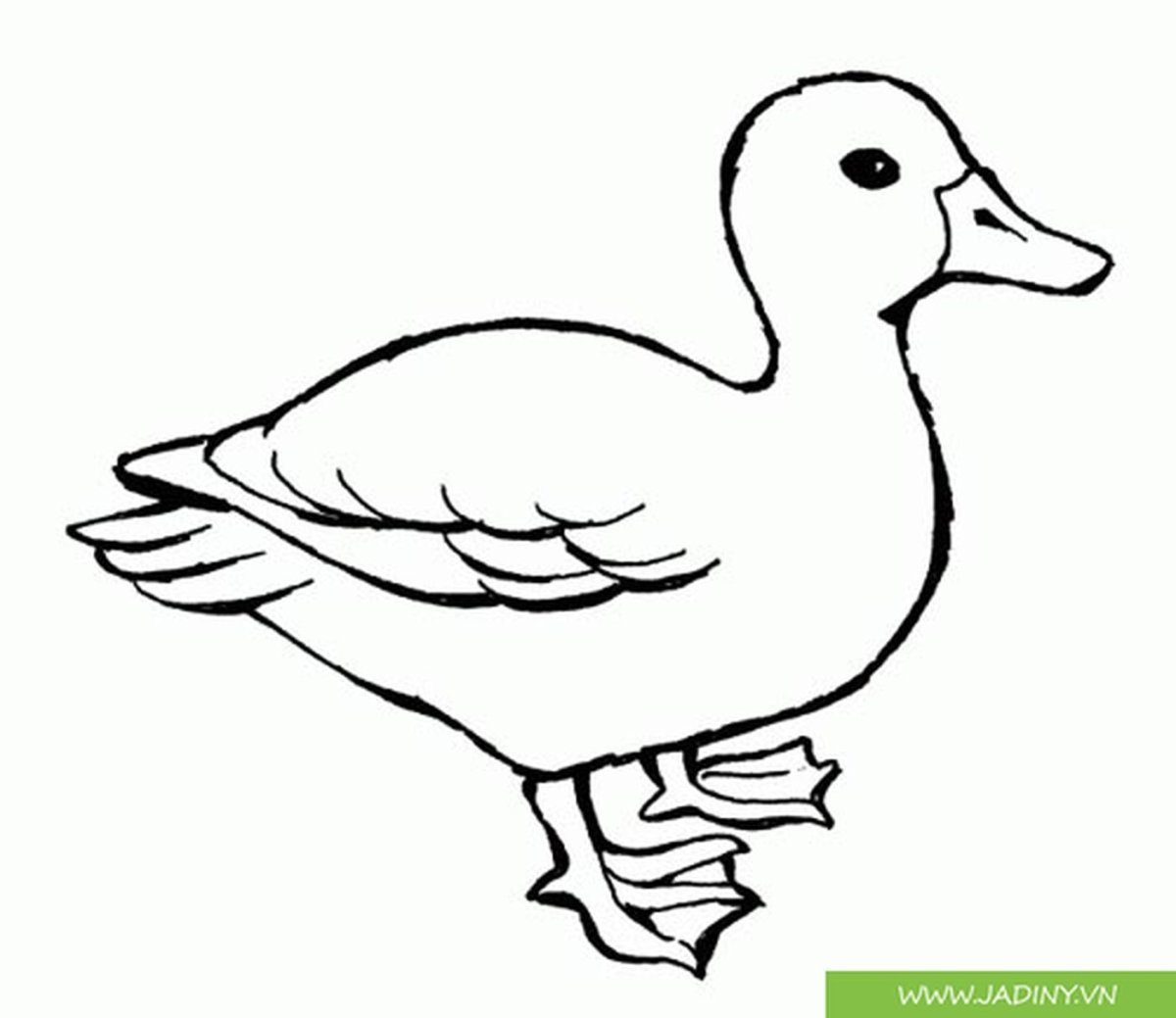 Уточка раскраска антистресс