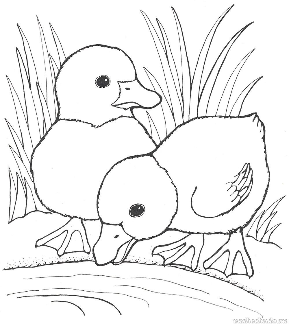Трафарет утка с утятами