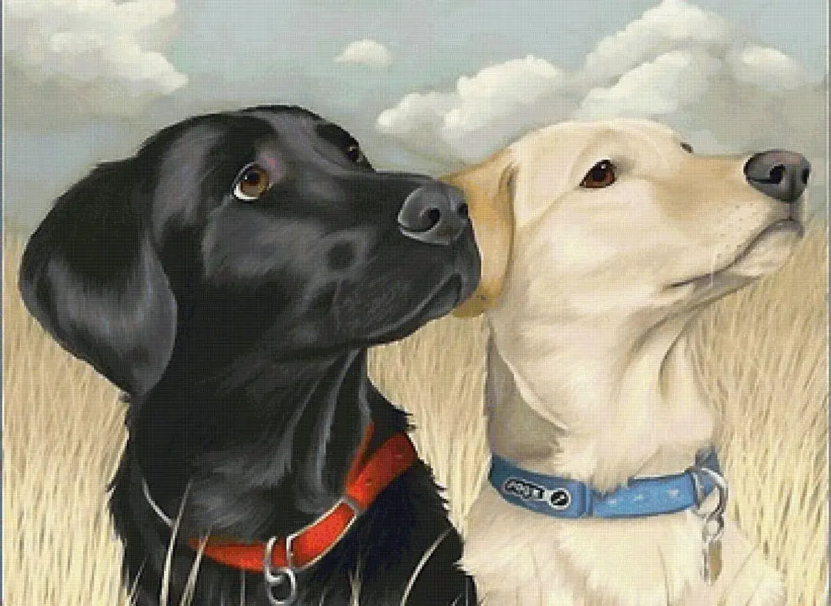 Собаки несколько красивый арт