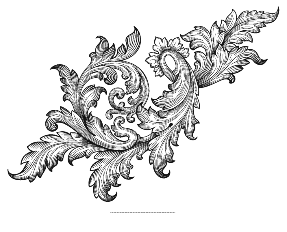 Акант орнамент Барокко