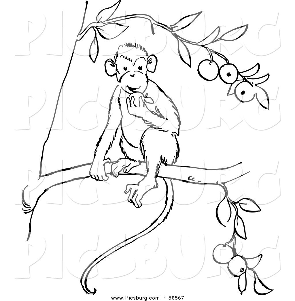 Про обезьянку Житков раскраска