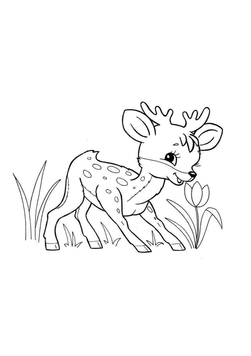 Раскраска коза с козленком для детей