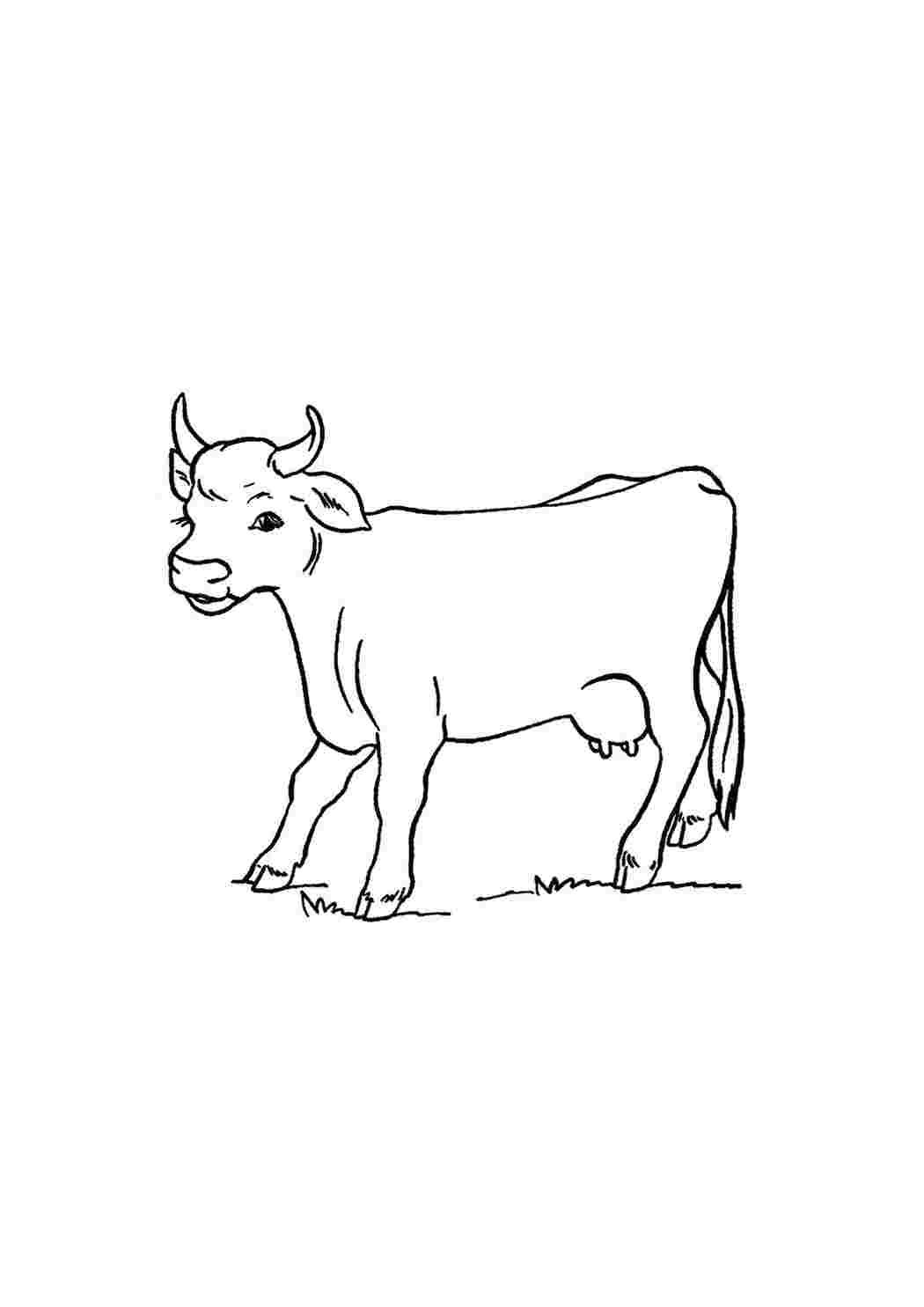 Символ года 2021 раскраска для детей