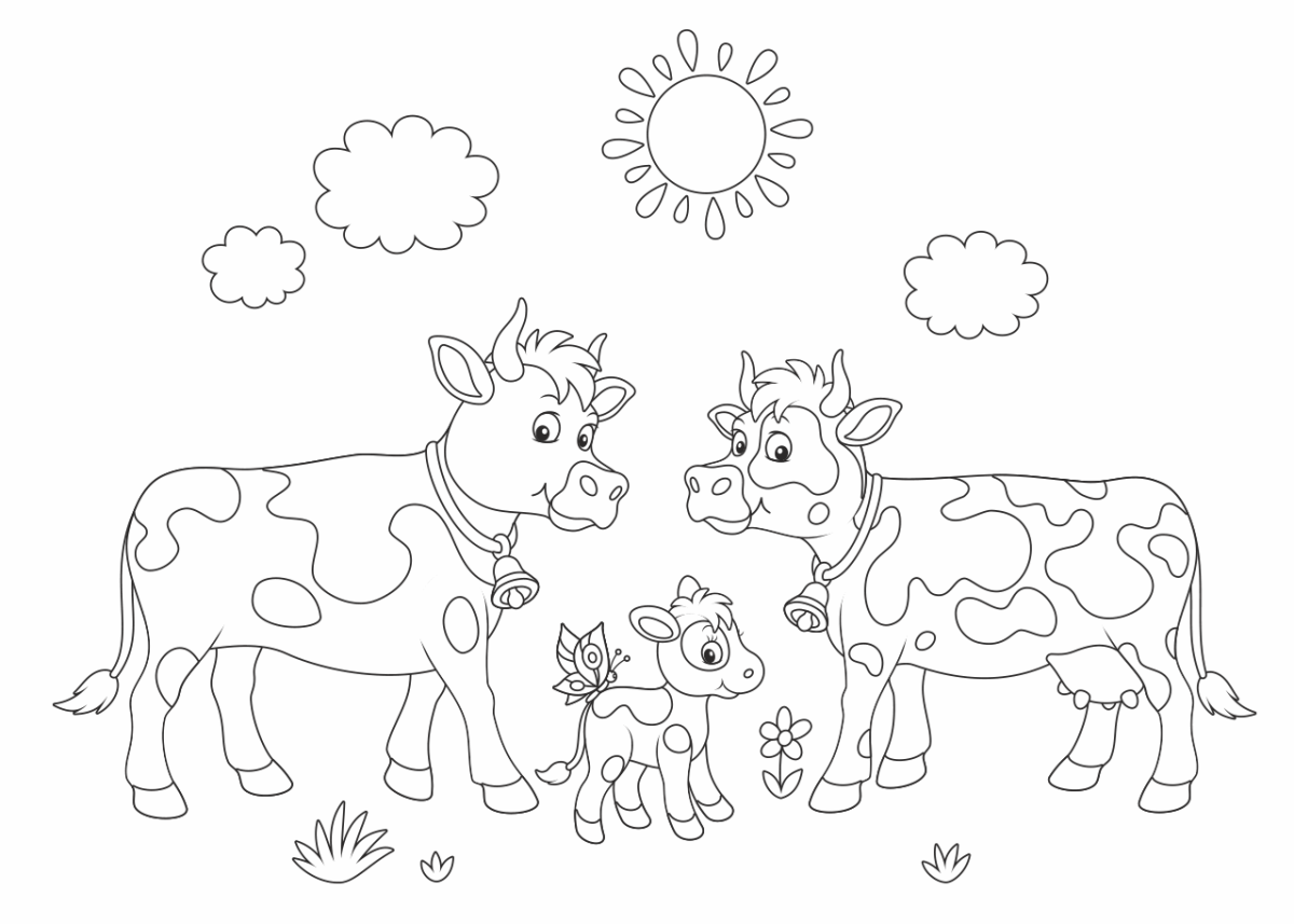 Корова бык теленок раскраска