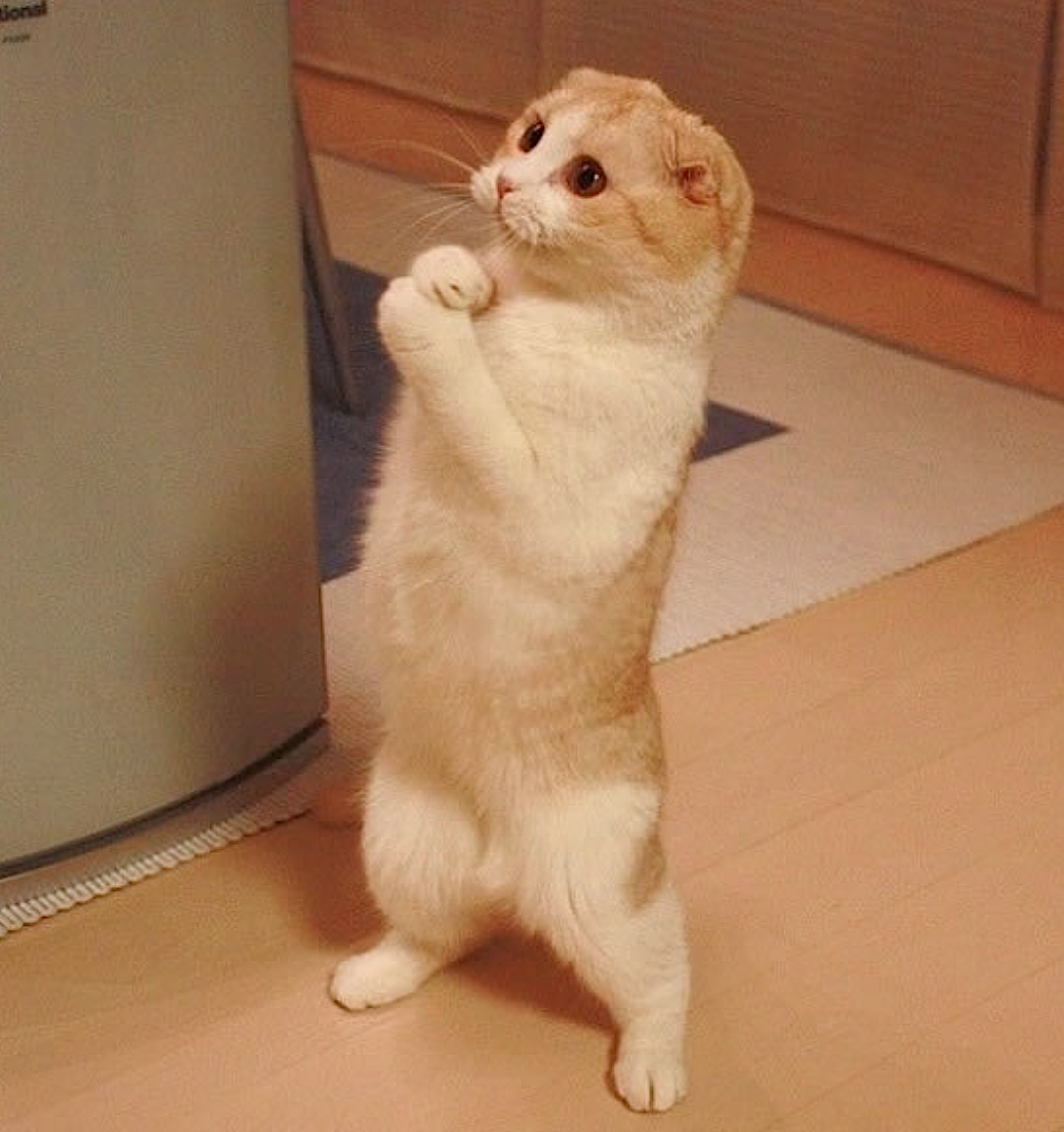 Грипп раскраска