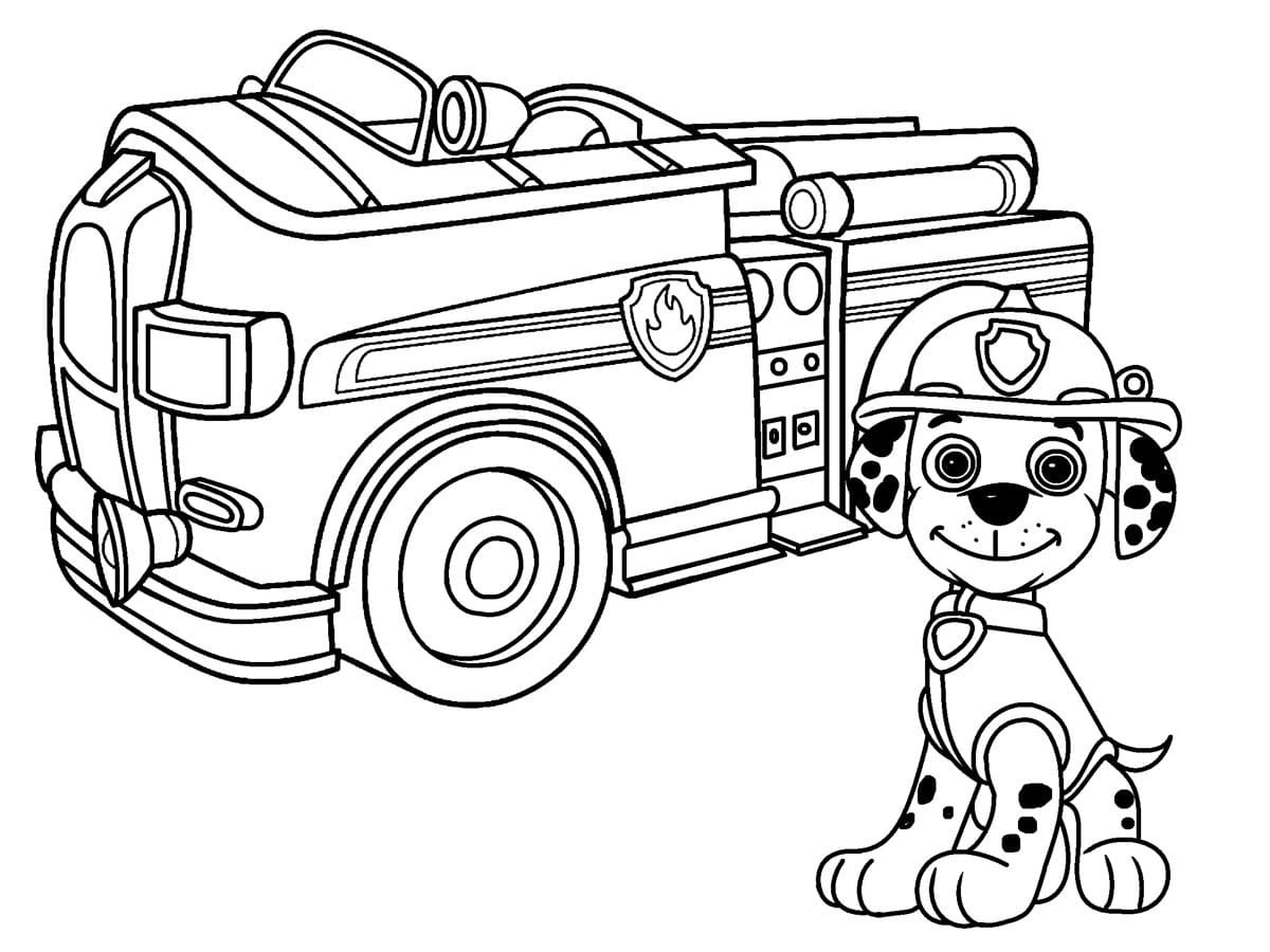 Маршалл Щенячий патруль раскраска