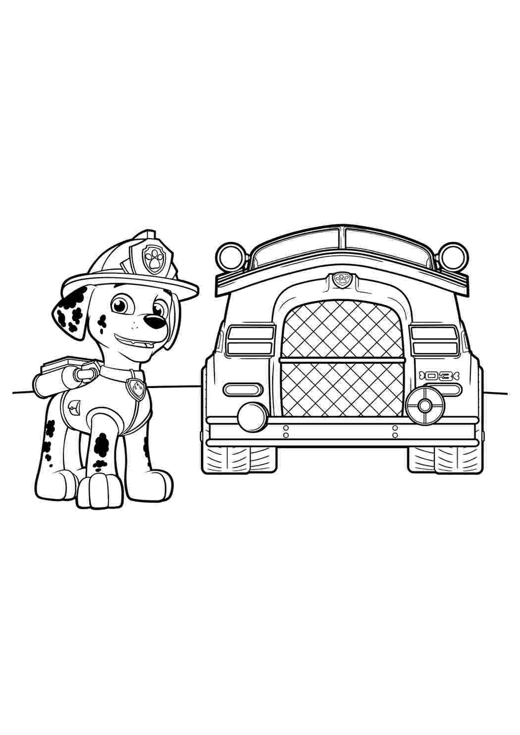 Щенячий патруль раскраска Маршал с машиной
