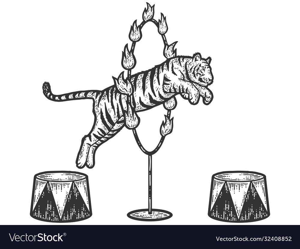 Цирк. Раскраска