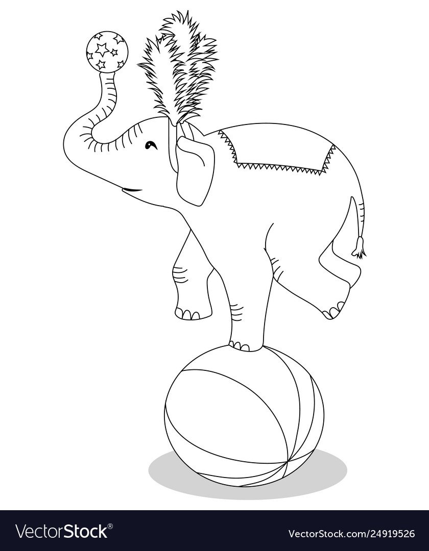 Дрессировщики в цирке мультяшные