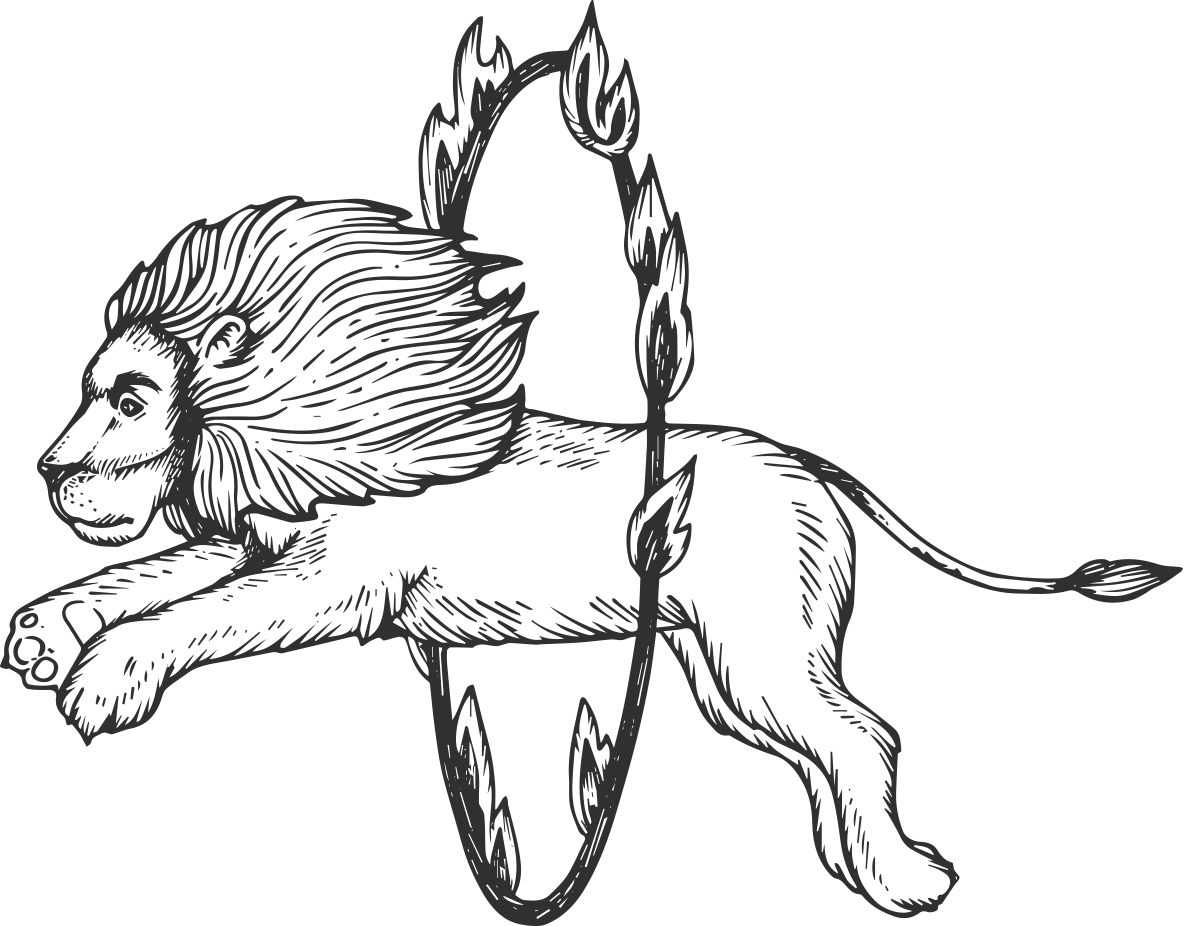 Цирковой слон раскраска