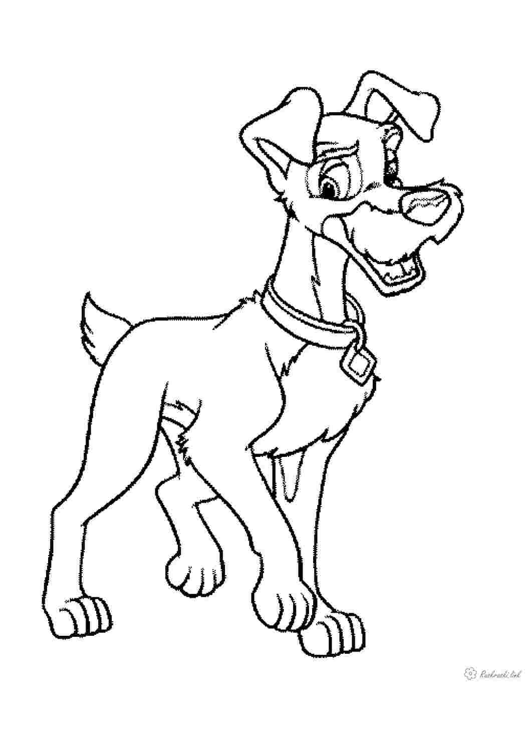 Раскраска леди и Бродяга с щенятами