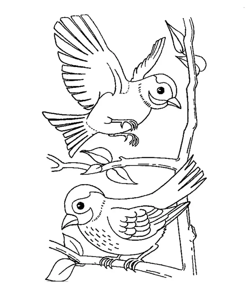 Воробьи зимой раскраска