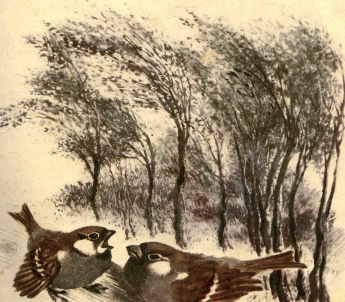 Собака Тургенева