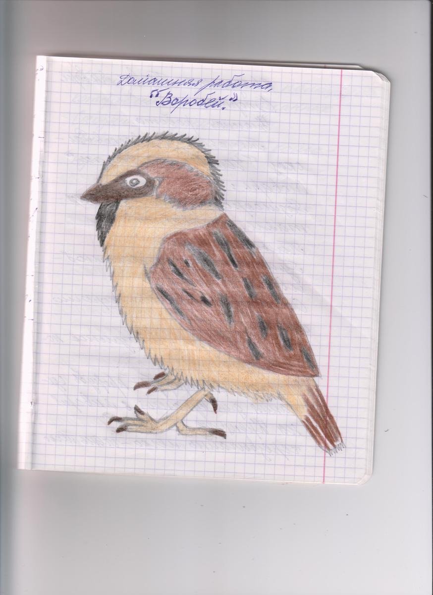 Выделение абзаца дизайн макет