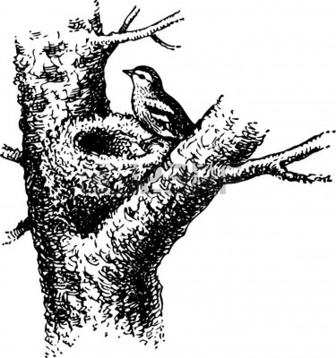 Черно белая Графика охота