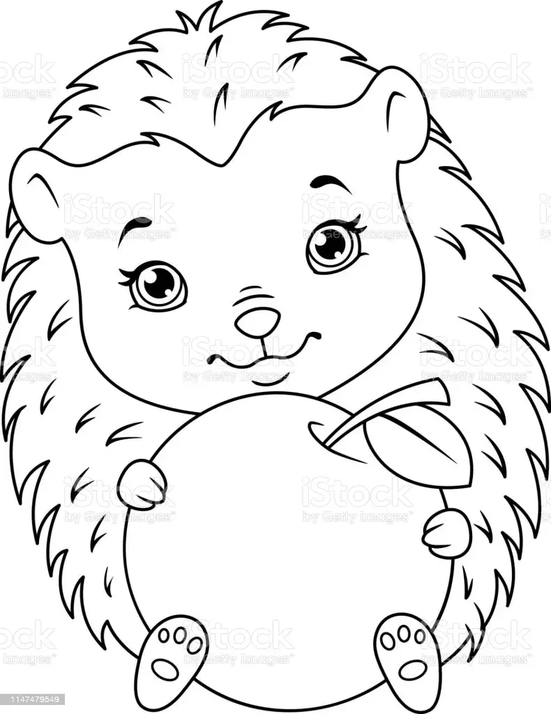 Раскраска Ёжик