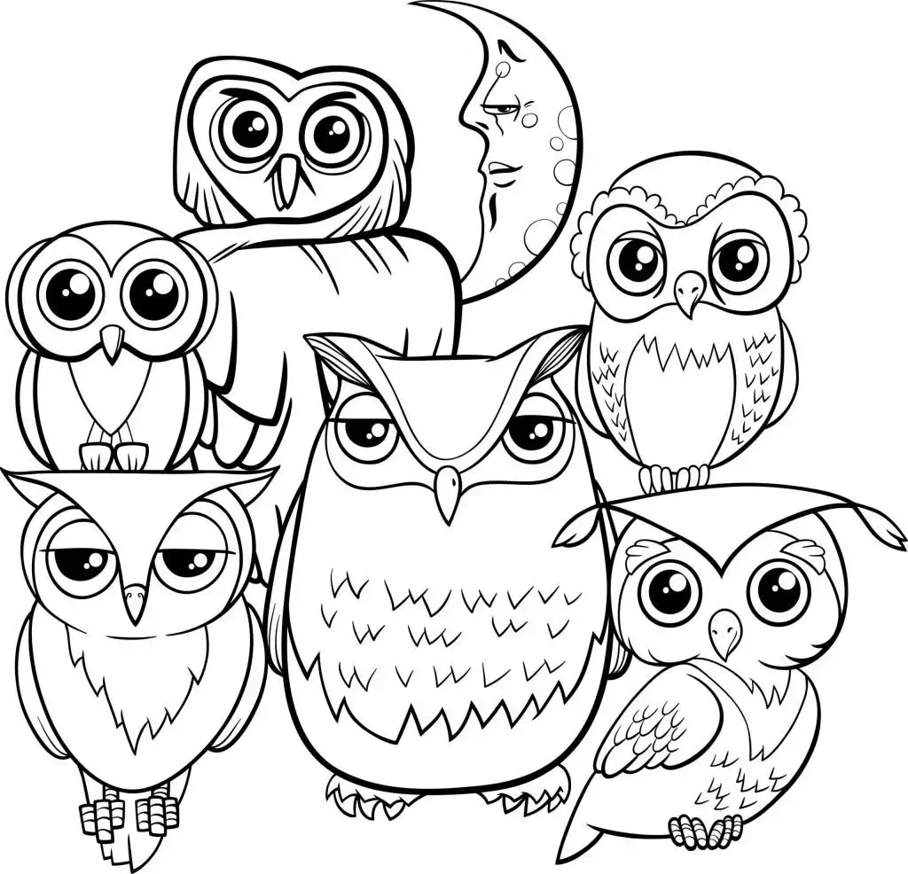 Раскраска семья совушек