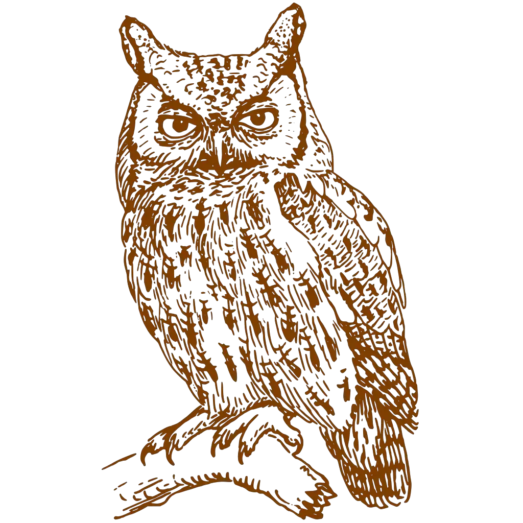 Филин рисунок