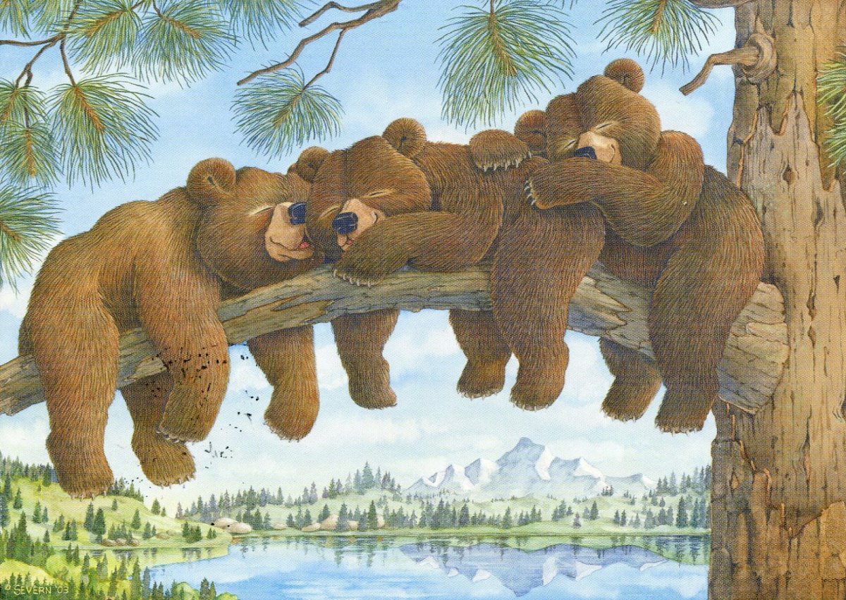 Медведь иллюстрация