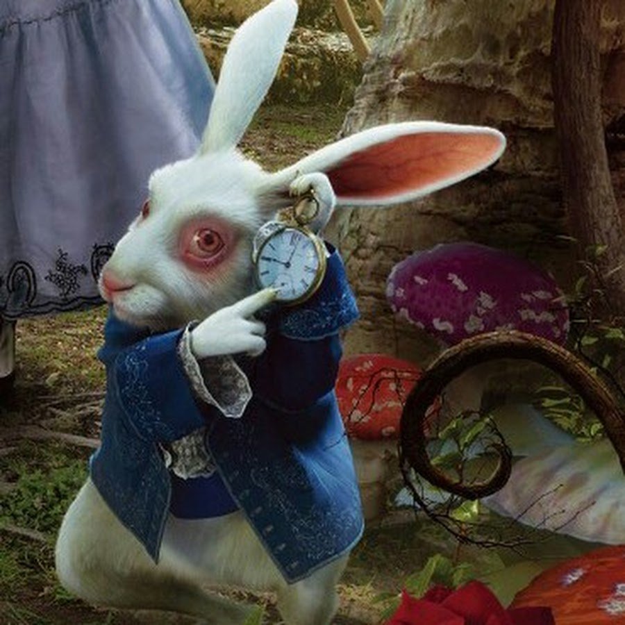 белый кролик картинки из алисы