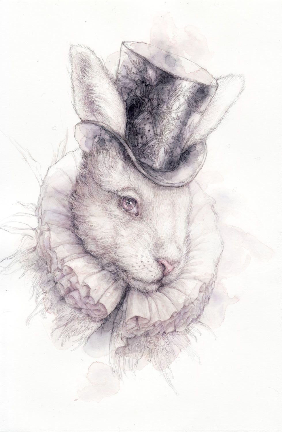 Белый кролик Графика