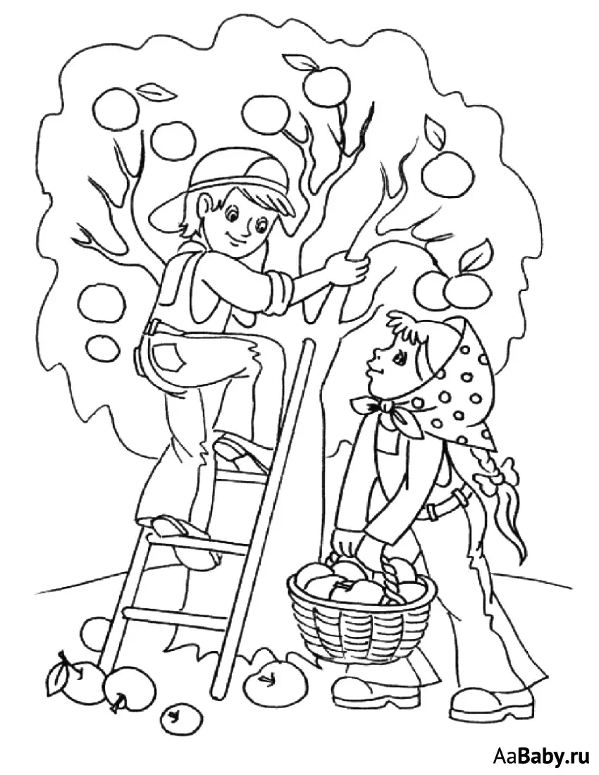 Раскраска. В огороде