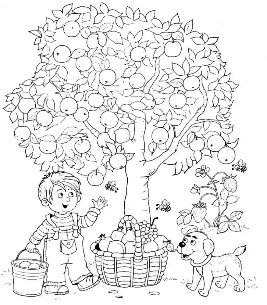Раскраска плодовые деревья