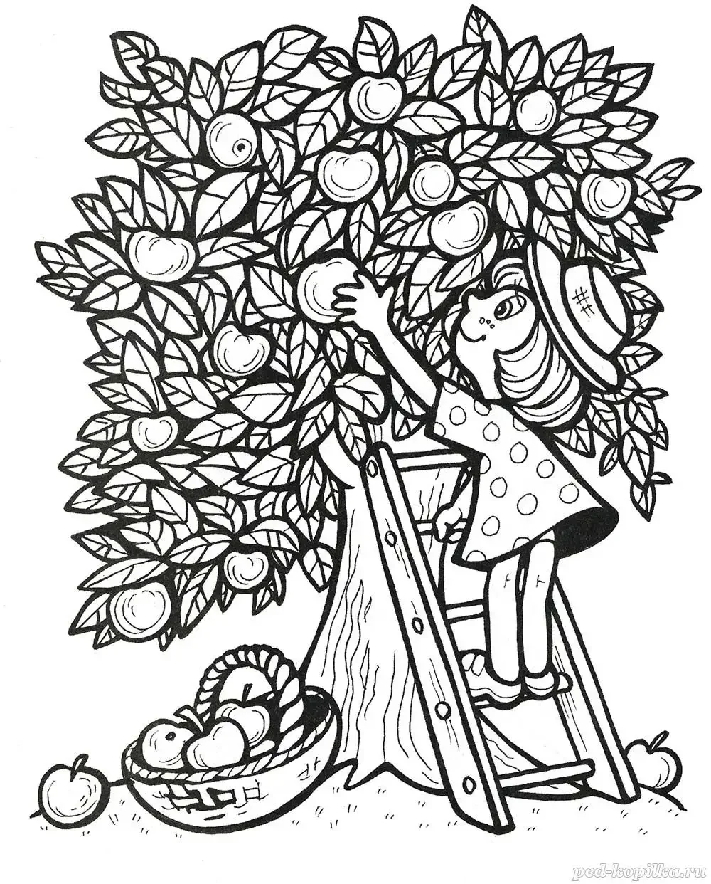 Раскраска сбор урожая в саду