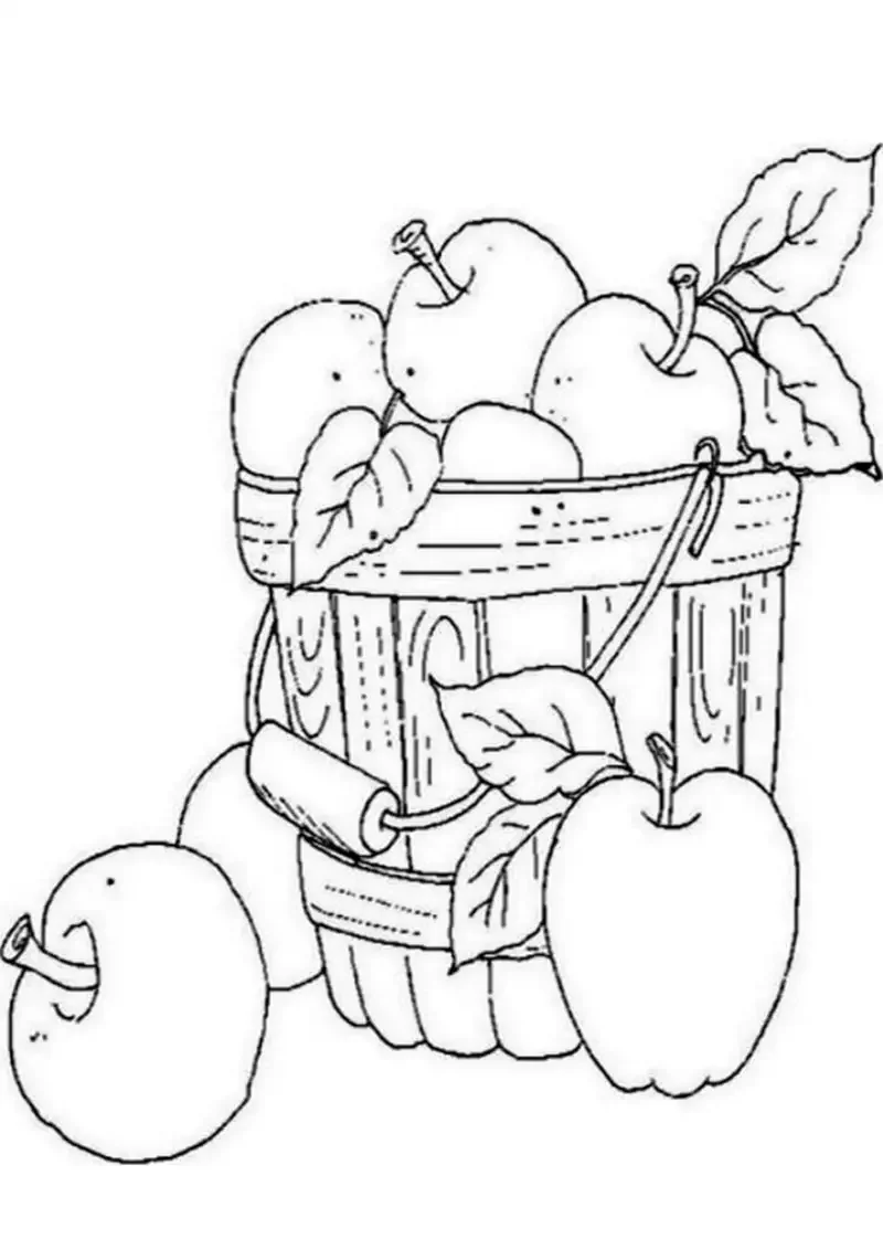 Урожай яблок раскраска
