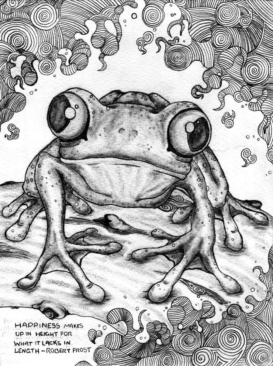 Жаба гравюра