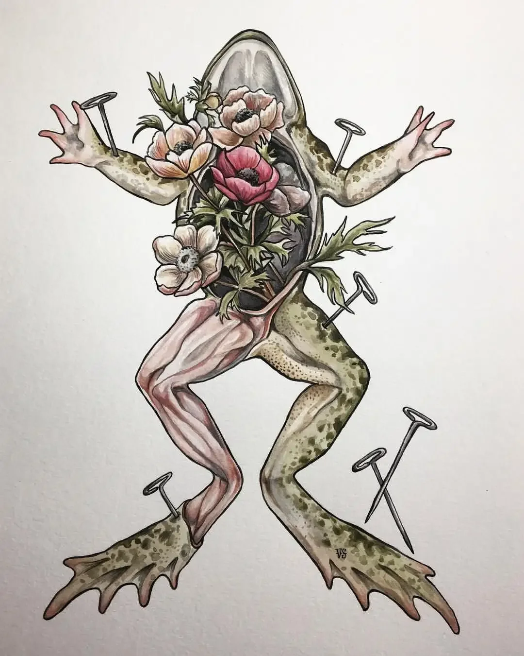 Биологические зарисовки