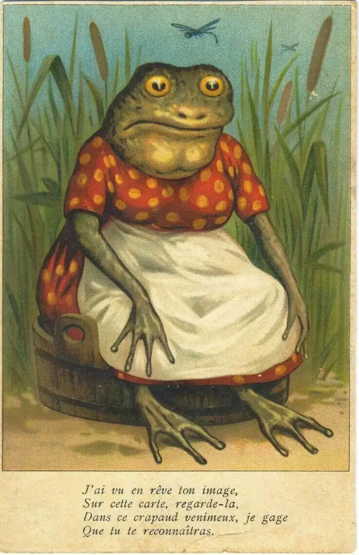 Сказочная жаба