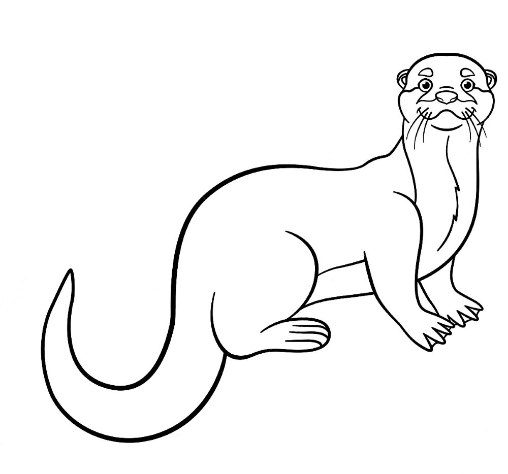Кавказская выдра раскраска