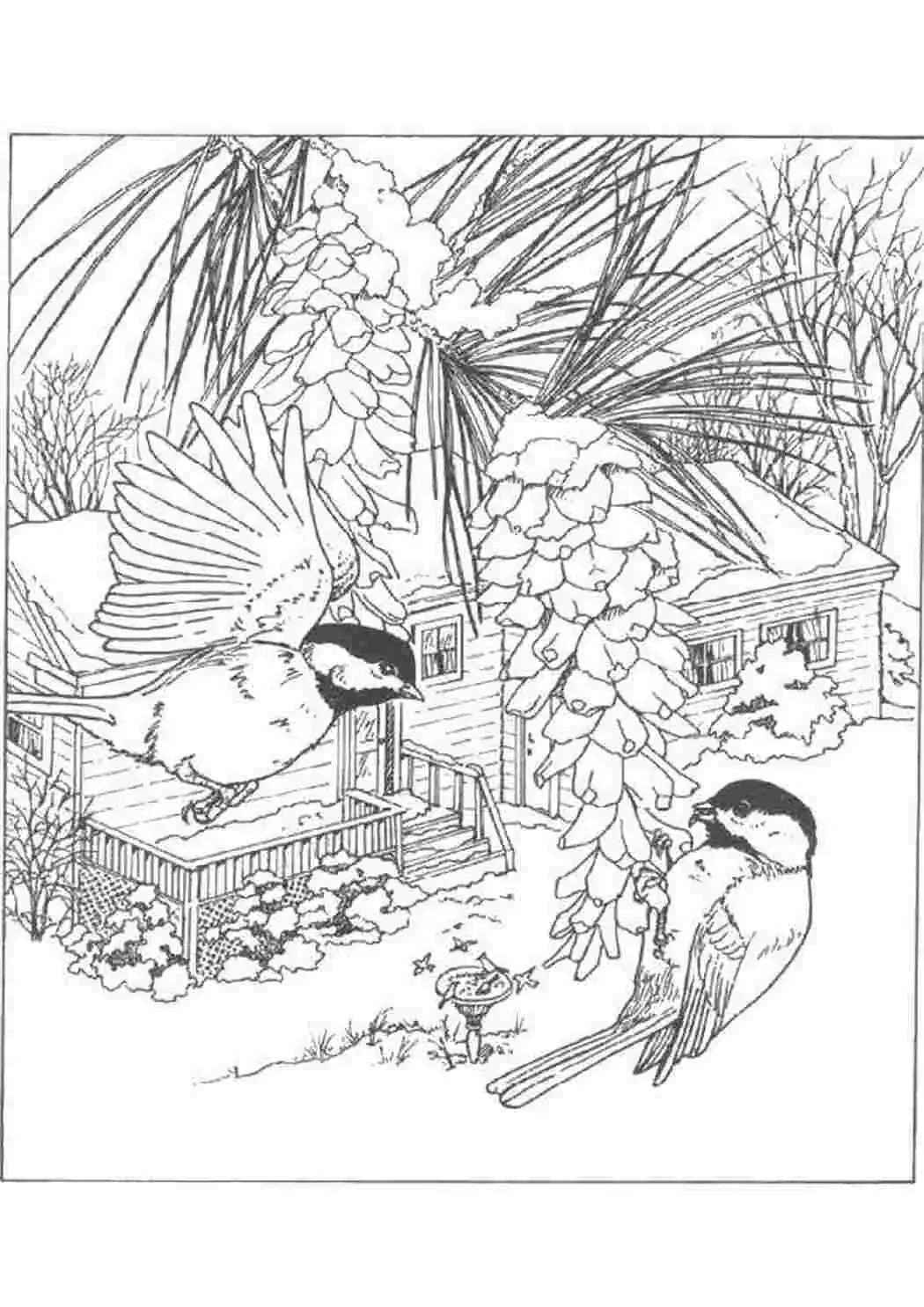 Экология раскраска