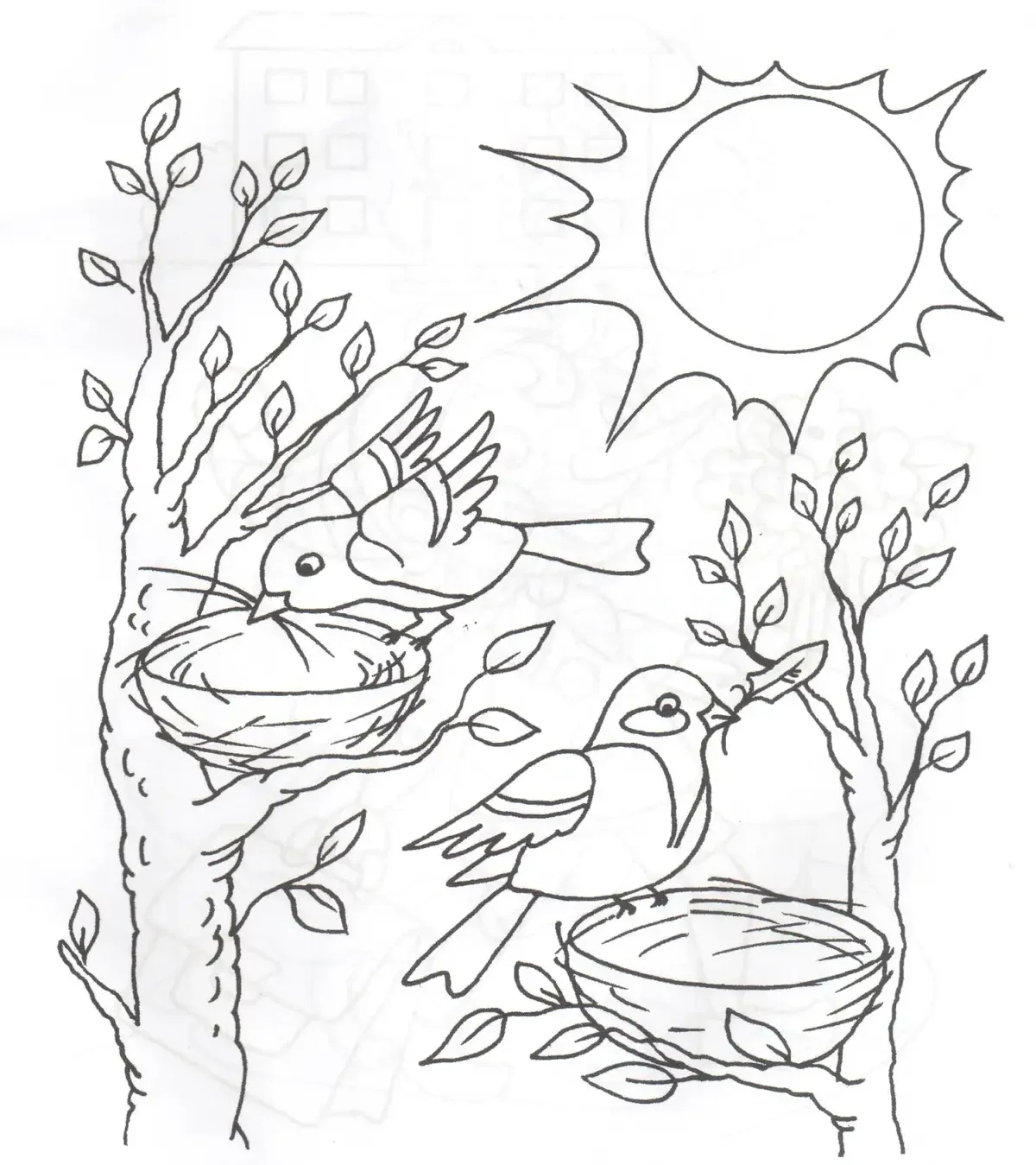 Раскраска Белочка