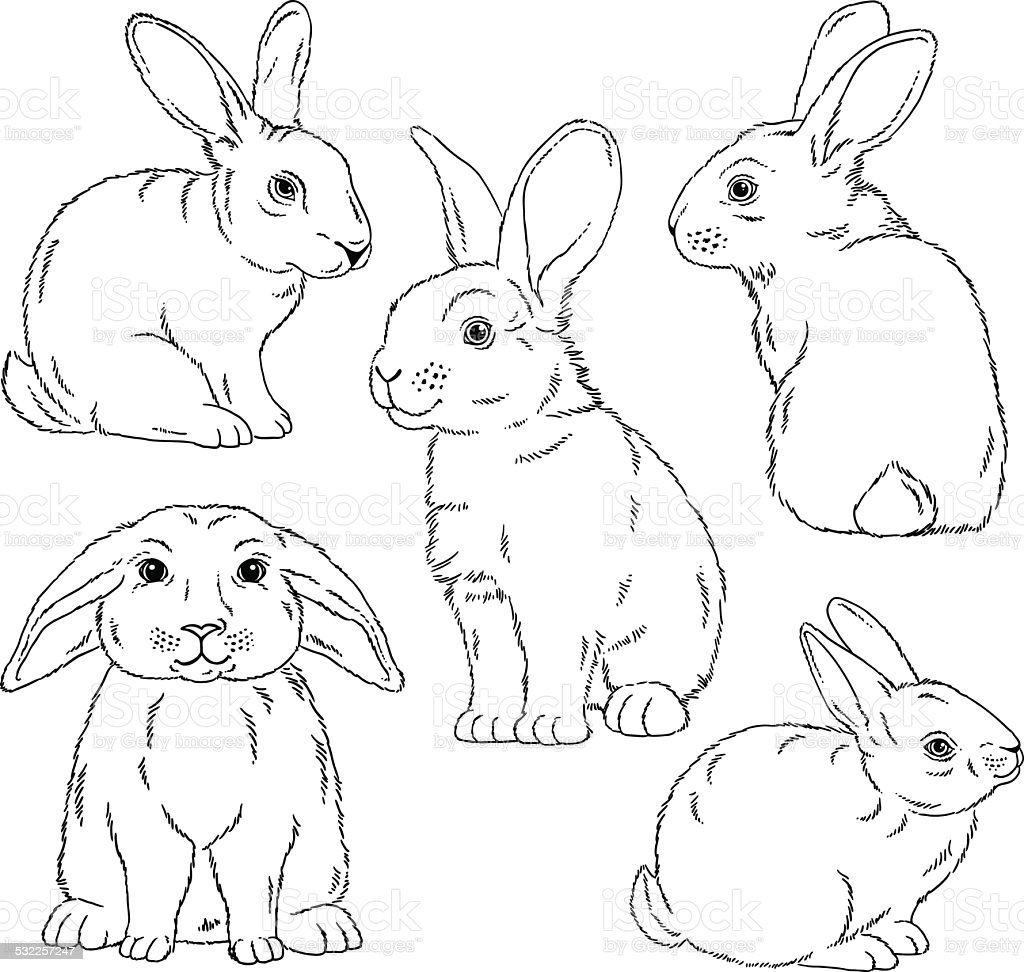 Раскраски покемоны эволюции иви