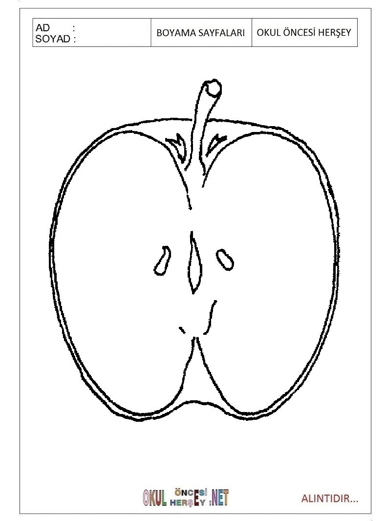 Яблоко в разрезе контур