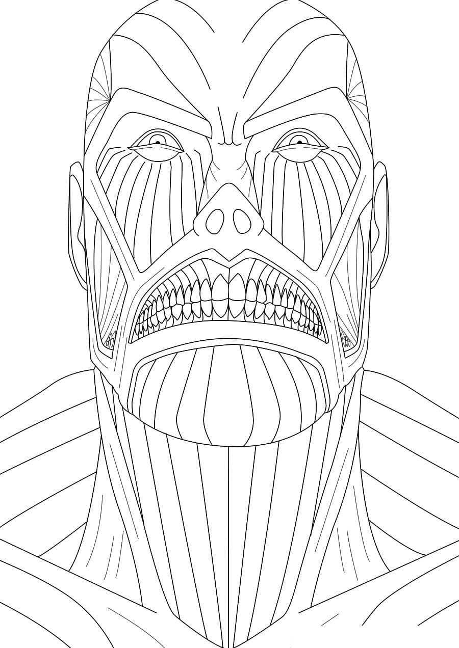 Раскраски аниме атака титанов Титаны