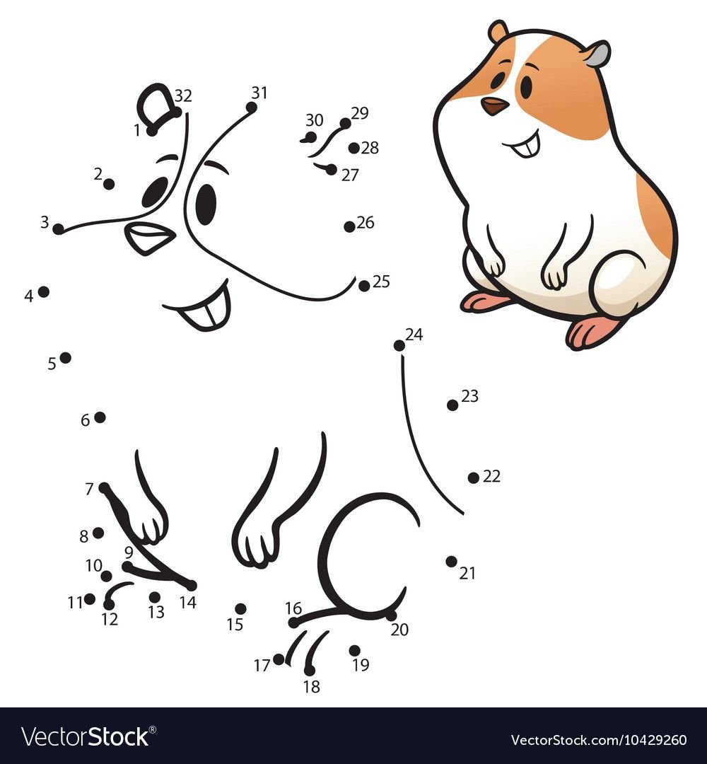 Хомяк по точкам