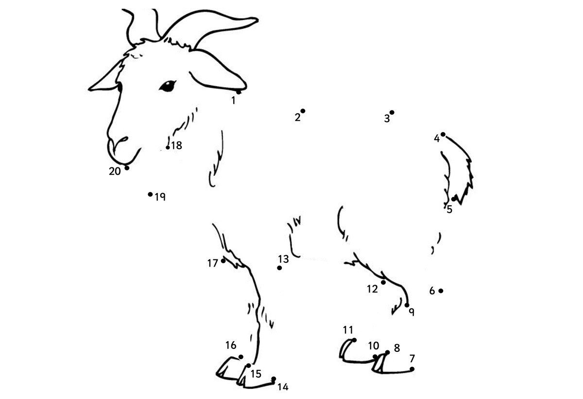 Животные по точкам