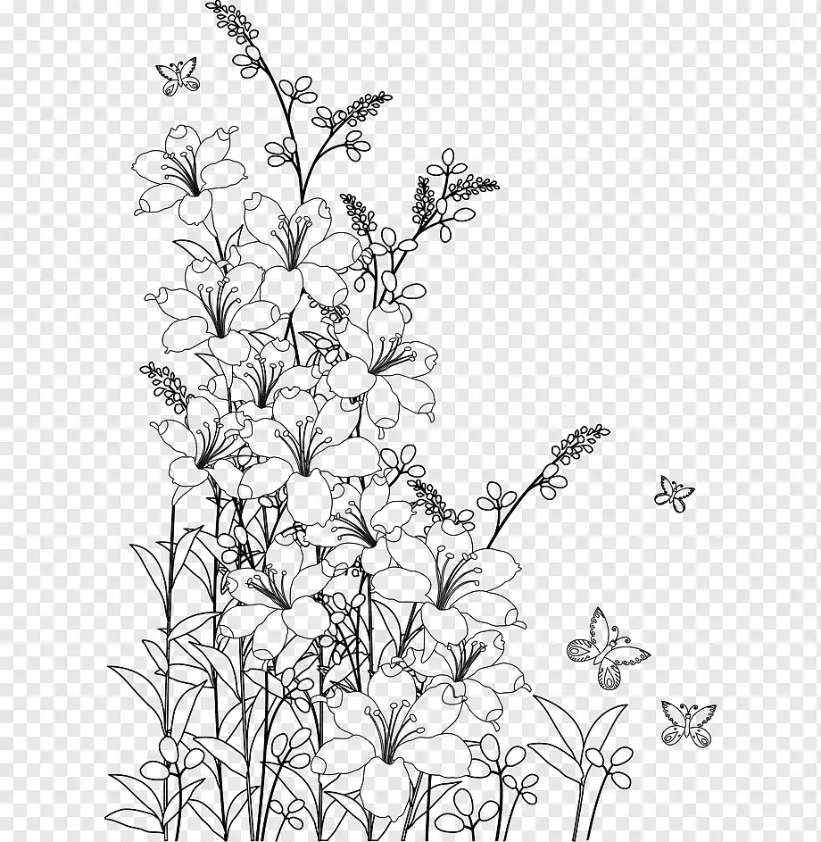 Фон цветы контур черно белые черно