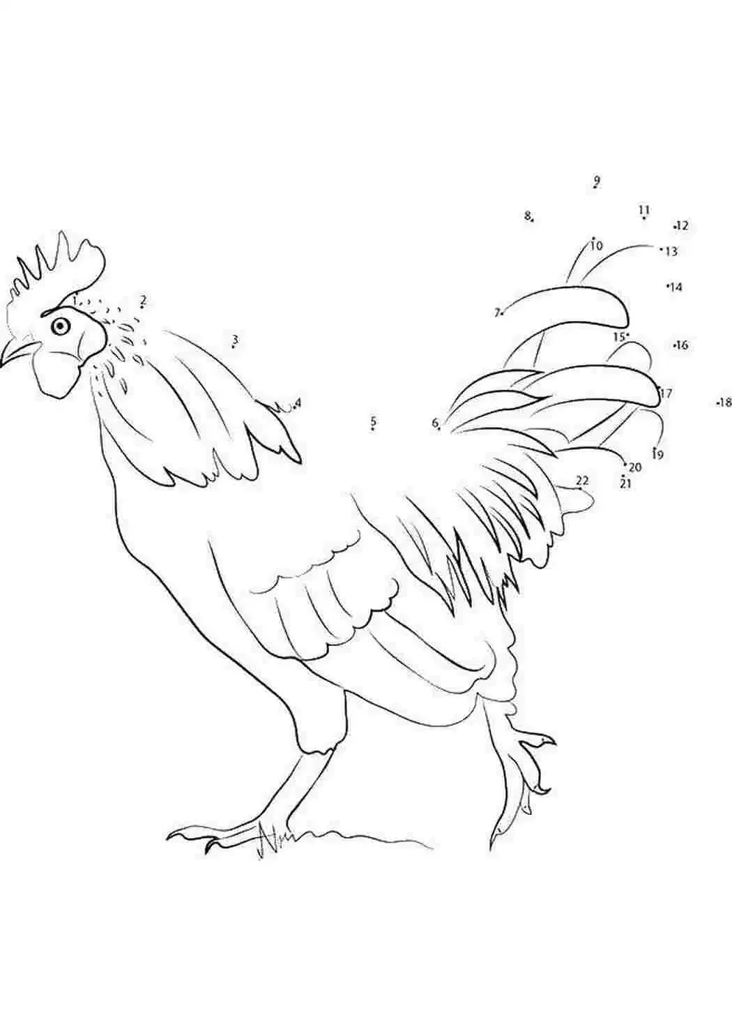 Петушок золотой гребешок